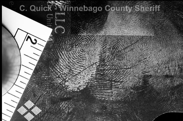 Macro Fingerprint Photo